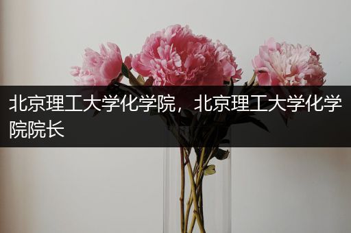 北京理工大学化学院，北京理工大学化学院院长