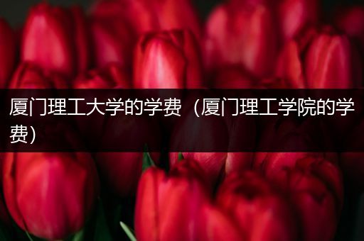 厦门理工大学的学费（厦门理工学院的学费）