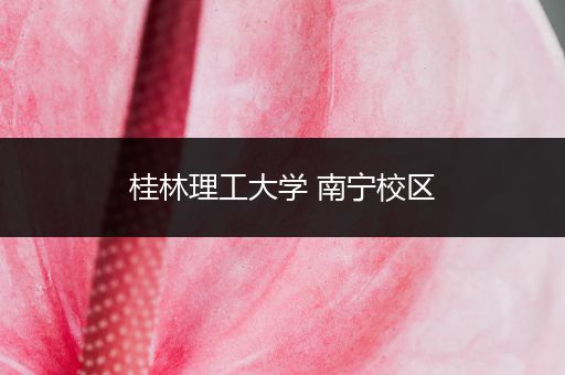 桂林理工大学 南宁校区