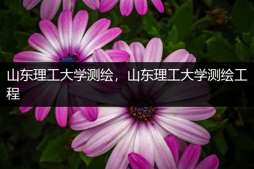 山东理工大学测绘，山东理工大学测绘工程