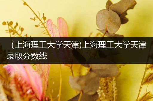 （上海理工大学天津)上海理工大学天津录取分数线