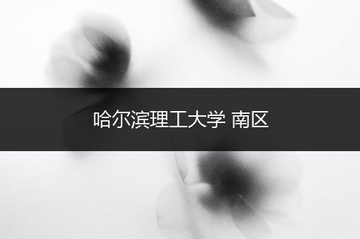哈尔滨理工大学 南区
