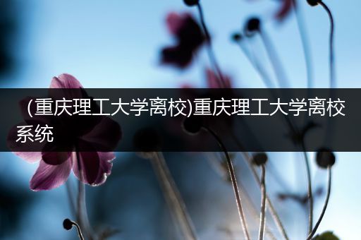 （重庆理工大学离校)重庆理工大学离校系统