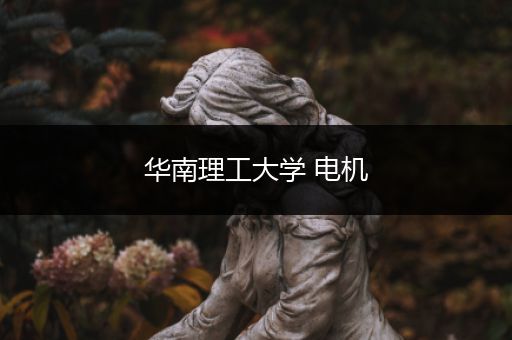 华南理工大学 电机