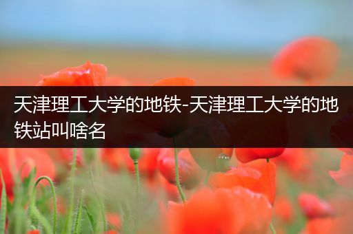 天津理工大学的地铁-天津理工大学的地铁站叫啥名