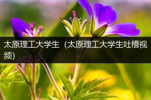 太原理工大学生（太原理工大学生吐槽视频）