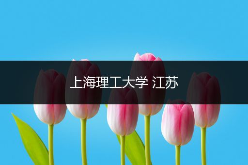 上海理工大学 江苏