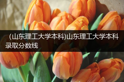 （山东理工大学本科)山东理工大学本科录取分数线