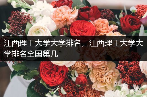 江西理工大学大学排名，江西理工大学大学排名全国第几