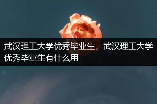 武汉理工大学优秀毕业生，武汉理工大学优秀毕业生有什么用