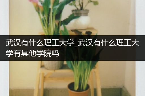 武汉有什么理工大学_武汉有什么理工大学有其他学院吗