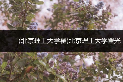 （北京理工大学翟)北京理工大学翟光