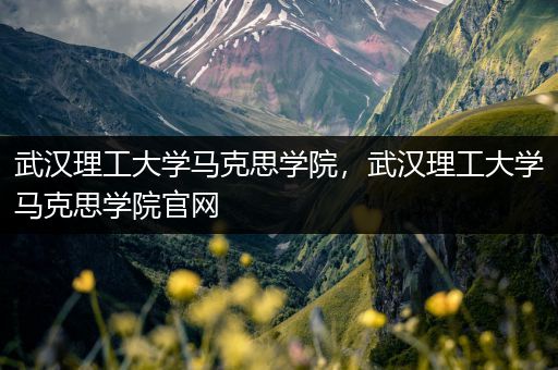 武汉理工大学马克思学院，武汉理工大学马克思学院官网