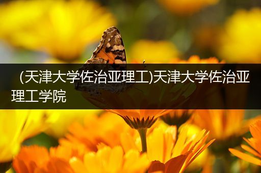 （天津大学佐治亚理工)天津大学佐治亚理工学院
