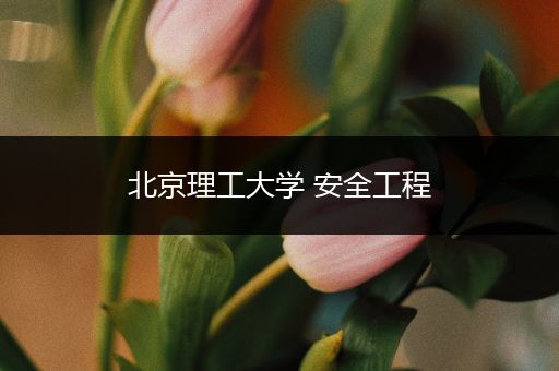 北京理工大学 安全工程