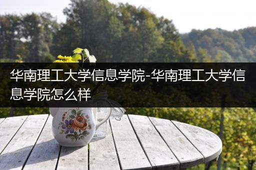 华南理工大学信息学院-华南理工大学信息学院怎么样