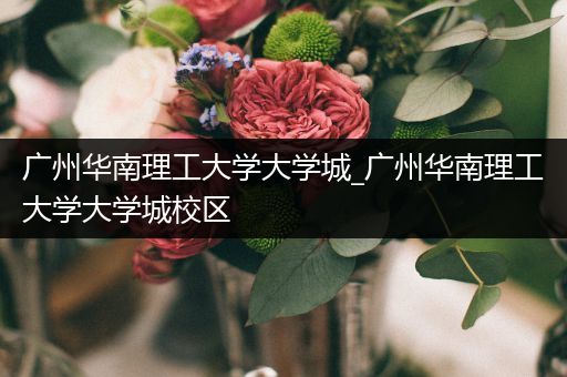 广州华南理工大学大学城_广州华南理工大学大学城校区