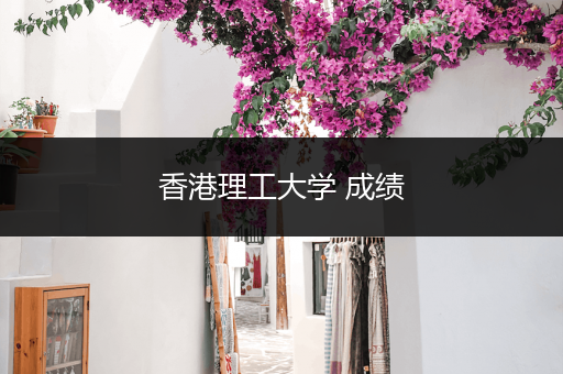 香港理工大学 成绩