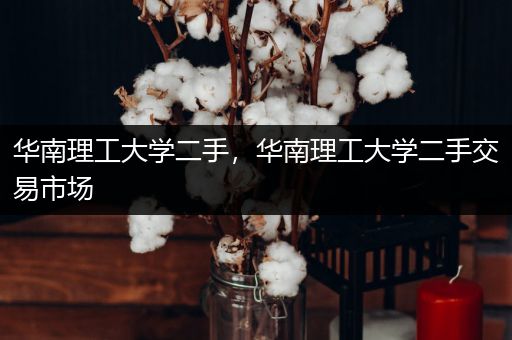 华南理工大学二手，华南理工大学二手交易市场
