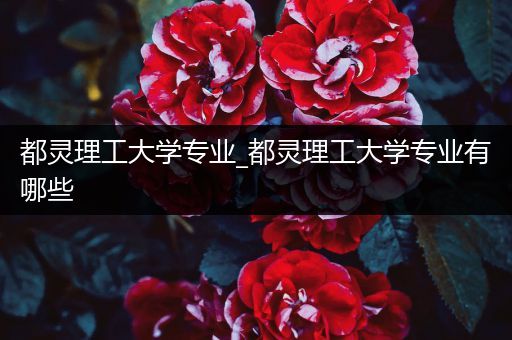 都灵理工大学专业_都灵理工大学专业有哪些