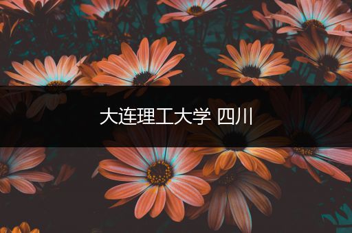 大连理工大学 四川