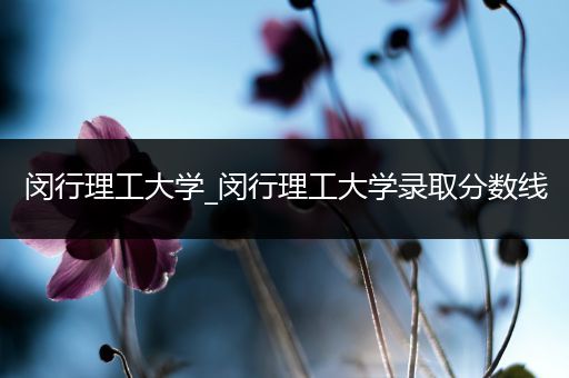 闵行理工大学_闵行理工大学录取分数线
