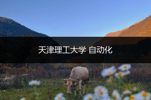 天津理工大学 自动化