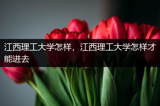 江西理工大学怎样，江西理工大学怎样才能进去
