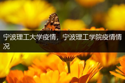 宁波理工大学疫情，宁波理工学院疫情情况