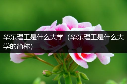 华东理工是什么大学（华东理工是什么大学的简称）