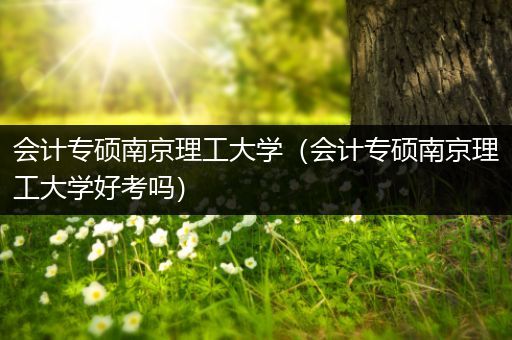 会计专硕南京理工大学（会计专硕南京理工大学好考吗）