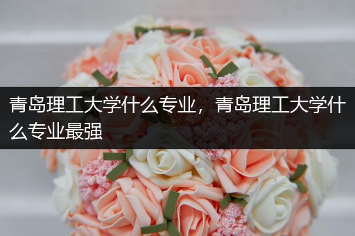 青岛理工大学什么专业，青岛理工大学什么专业最强
