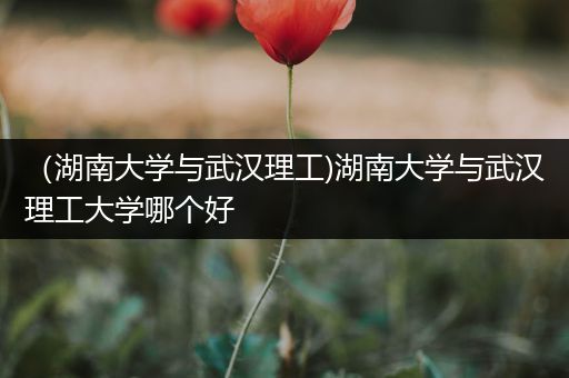 （湖南大学与武汉理工)湖南大学与武汉理工大学哪个好