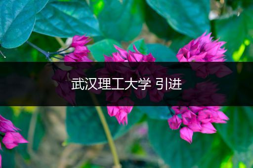 武汉理工大学 引进