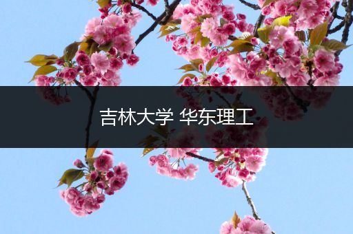 吉林大学 华东理工