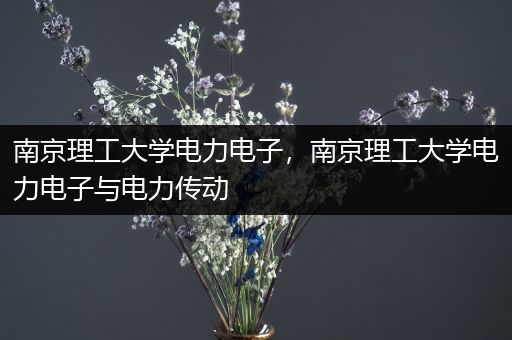 南京理工大学电力电子，南京理工大学电力电子与电力传动