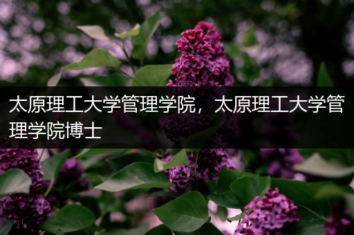 太原理工大学管理学院，太原理工大学管理学院博士
