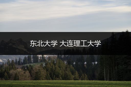 东北大学 大连理工大学