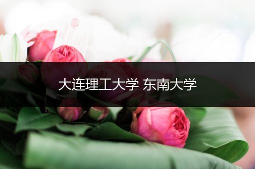 大连理工大学 东南大学