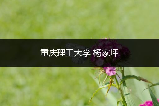 重庆理工大学 杨家坪