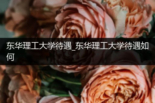 东华理工大学待遇_东华理工大学待遇如何