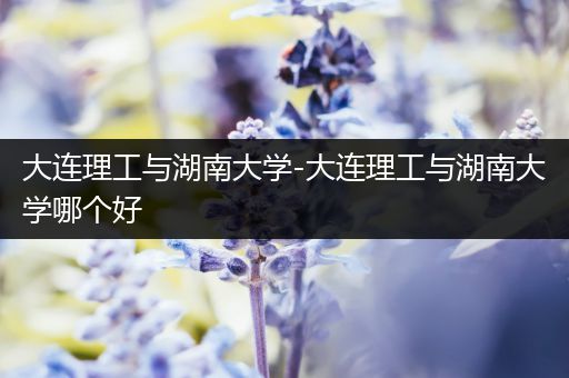 大连理工与湖南大学-大连理工与湖南大学哪个好