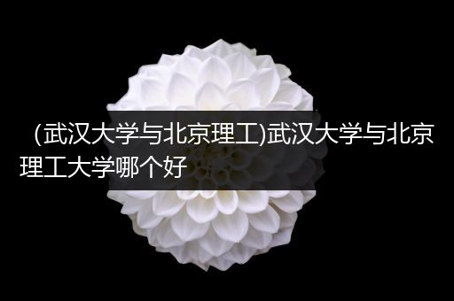 （武汉大学与北京理工)武汉大学与北京理工大学哪个好