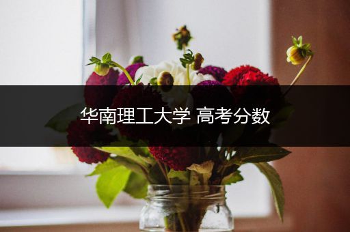 华南理工大学 高考分数