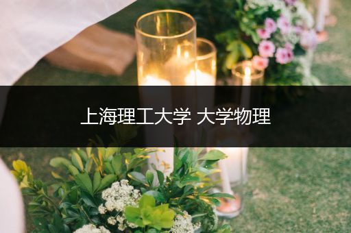 上海理工大学 大学物理