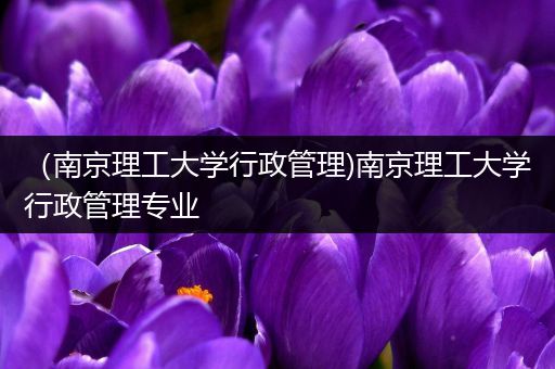 （南京理工大学行政管理)南京理工大学行政管理专业