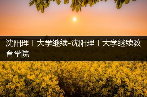 沈阳理工大学继续-沈阳理工大学继续教育学院