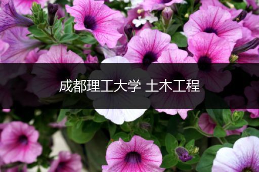 成都理工大学 土木工程