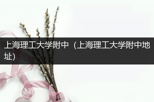 上海理工大学附中（上海理工大学附中地址）
