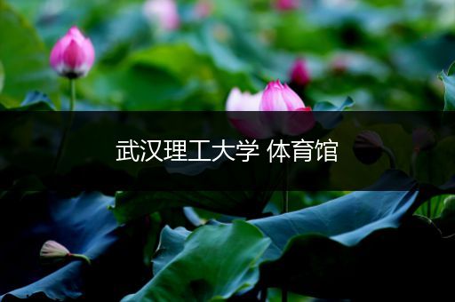 武汉理工大学 体育馆